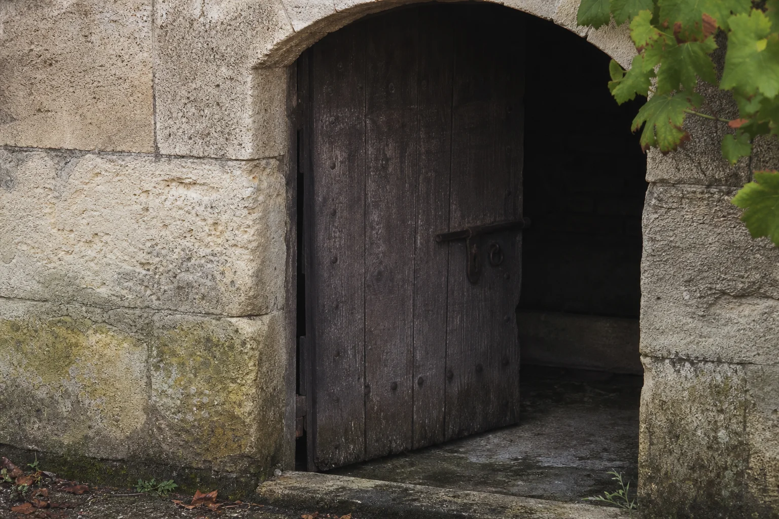 Porte de cave en bois sous une arche de pierre, évocation de l’Entre-Deux-Mers